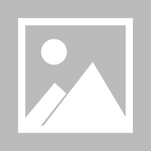 娱乐挑战-篮球荣誉最多的人