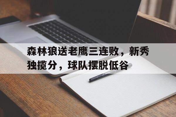关于森林狼送老鹰三连败，新秀独揽分，球队摆脱低谷的信息